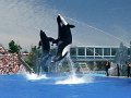 SeaWorld_US86_13_12