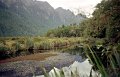 NwZl_02_02_MilfordSound