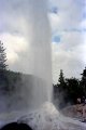 NwZl_07_03_Roturoa_LadyKnoxGeyser