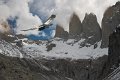 CondorTorres del Paine_Torres