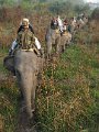 Op safari in Kaziranga_0176