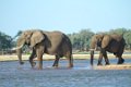 Old Mondoro-Olifant-0043