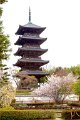 Japan2472 Fietstocht