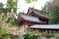 Japan2488 Fietstocht