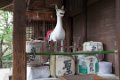 Japan2490 Fietstocht