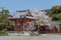 Japan2082 Sanjusangen-do temple