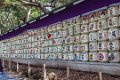 Japan1078 Meiji Shrine