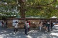 Japan1092 Meiji Shrine