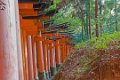 Japan3386_Inari Kyoto