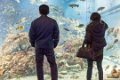 Japan4241_Aquarium Osaka