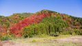 Japan3269_Wandelen naar Magome