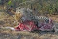 Tiger Canyon_Canon EOS 5D Mark III_0512