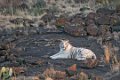 Tiger Canyon_Canon EOS 5D Mark III_0541
