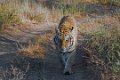 Tiger Canyon_Canon EOS 5D Mark III_0574