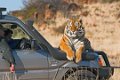 Tiger Canyon_Canon EOS 5D Mark III_0584