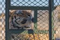 Tiger Canyon_Canon EOS 5D Mark III_0603