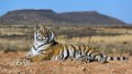 Tiger Canyon_Canon EOS 5D Mark III_0625