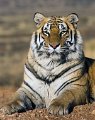Tiger Canyon_Canon EOS 5D Mark III_0627