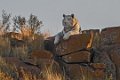 Tiger Canyon_Canon EOS 7D_1167