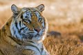 Tiger Canyon_Canon EOS 7D_1328
