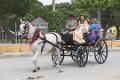 7691 Rota Fiesta