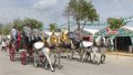 7694 Rota Fiesta