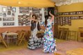 7700 Rota Fiesta