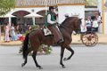 7706 Rota Fiesta