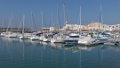 7731 Rota Haven