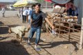 9192 Kashgar Zondagse veemarkt