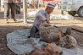 9203 Kashgar Zondagse veemarkt