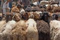 9224 Kashgar Zondagse veemarkt