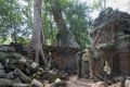 0909 Siem Reap Ta Prohm