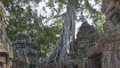 0919 Siem Reap Ta Prohm
