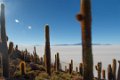 1852 Salar de Uyuni Salar