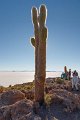 1859 Salar de Uyuni Salar