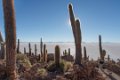 1868 Salar de Uyuni Salar