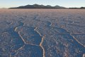 1878 Salar de Uyuni Salar