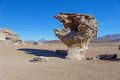 2029 Altiplano Arbol de Piedra