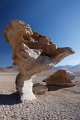 2035 Altiplano Arbol de Piedra