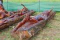 2403 Paaseiland Hanga Roa