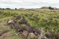 2464 Paaseiland Ana Te Pahu