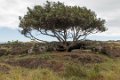 2469 Paaseiland Ana Te Pahu