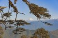 3470 Dochu La Pas Jigme Singye Himalayan Range