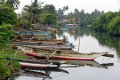 4295 Negombo Dutch Canal