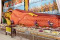 4460 Anuradhapura Abhayagiri Stupa