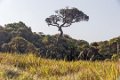 5038 Horton Plains NP Landschap