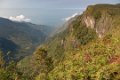5048 Horton Plains NP Landschap