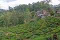 5127 Ella Little Adams Peak