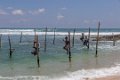 5585 Unawatuna Paalvissers